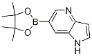 1H-吡咯并[3,2-B]吡啶-6-硼酸频哪醇酯 结构式
