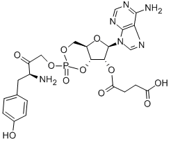 2'-O-MONOSUCCINYLADENOSINE 3':5'-CYCLIC MONOPHOSPHATE TYROSYL METHYL ESTER 结构式