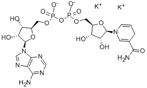 烟酰胺腺嘌呤二核苷酸 还原型 结构式