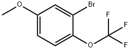 3-溴-4-三氟甲氧基苯甲醚 结构式