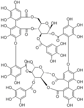 OenotheinB