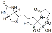 biotinyl-N-hydroxysulfosuccinimide ester 结构式