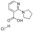 3-Pyridinecarboxylic acid, 2-(1-pyrrolidinyl)-, hydrochloride 结构式