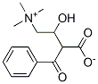 benzoylcarnitine 结构式