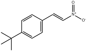 Benzene, 1-(1,1-dimethylethyl)-4-[(1E)-2-nitroethenyl]- 结构式