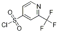 2-TRIFLUOROMETHYL-PYRIDINE-4-SULFONYL CHLORIDE 结构式