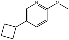 5-cyclobutyl-2-Methoxypyridine 结构式