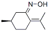 Cyclohexanone, 5-methyl-2-(1-methylethylidene)-, oxime, [R-(Z)]- (9CI) 结构式