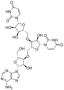 uridylyl(5'->3')uridylyl(5'->3')adenosine 结构式