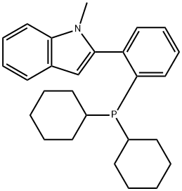 2-(2-二环己基磷杂NYL-苯基)-1-甲基-1H-吲哚 结构式
