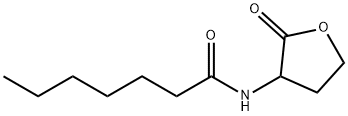 N-Heptanoyl-DL-homoserinelactone