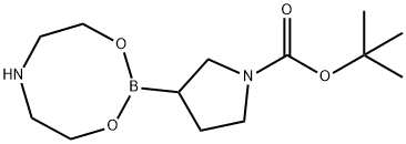 tert-Butyl3-(1,3,6,2-dioxazaborocan-2-yl)pyrrolidine-1-carboxylate