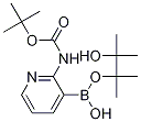 2-(N-叔丁氧羰基氨基)吡啶-3-硼酸频哪酯 结构式