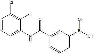 N-(3-Chloro-2-Methylphenyl)3-boronobenzaMide 结构式
