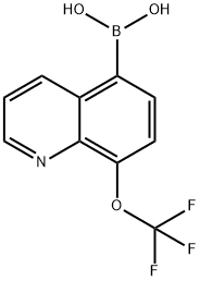 8-TRIFLUOROMETHOXYQUINOLINE-5-BORONIC ACID 结构式