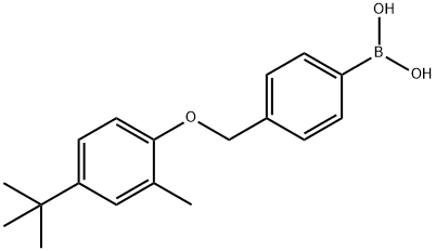 4-[(4-tert-Butyl-2-Methylphenoxy)Methyl]phenylboronic acid 结构式