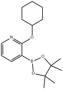 2-(环己氧基)吡啶-3-硼酸频哪醇酯 结构式