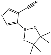 3-氰基噻吩-4-硼酸二甲基异丁醇酯 结构式