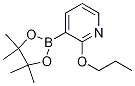 2-PROPOXYPYRIDINE-3-BORONIC ACID, PINACOL ESTER 结构式