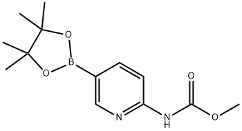 2-METHOXYCARBONYLAMINOPYRIDINE-5-BORONIC ACID 结构式