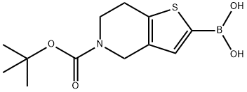 5-(叔丁氧羰基)-3A,4,5,6,7,7A-六氢噻吩并[3,2-C]吡啶-2-基硼酸 结构式