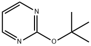 2-t-butoxypyrimidine 结构式