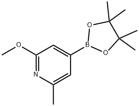 6-METHOXY-2-PICOLINE-4-BORONIC ACID, PINACOL ESTER 结构式