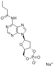 N6-MONOBUTYRYL-2'-DEOXYADENOSINE 3':5'-CYCLIC MONOPHOSPHATE SODIUM SALT 结构式