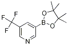 5-三氟甲基吡啶-3-硼酸频哪醇酯 结构式