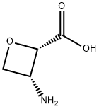 (2S, 3R)-3-amino-2-oxetanecarboxylic acid 结构式