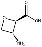 (2R, 3R)-3-AMINO-2-OXETANECARBOXYLIC ACID 结构式