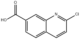 2-氯喹啉-7-羧酸 结构式