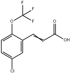 (E)-3-(5-氯-2-(三氟甲氧基)苯基)丙烯酸 结构式