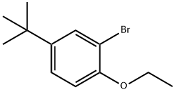2-BroMo-4-(tert-butyl)-1-ethoxybenzene 结构式