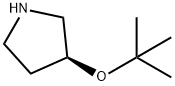 (S)-4-TERT-BUTOXYPYRROLIDINE 结构式