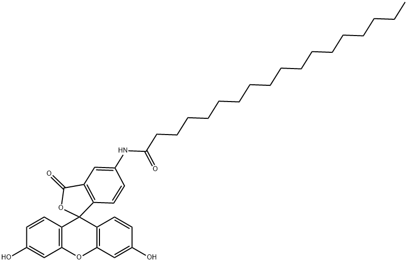 5-(十八酰基氨基)荧光素荧光用 结构式