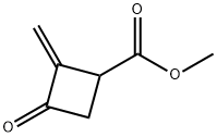 Cyclobutanecarboxylic acid, 2-methylene-3-oxo-, methyl ester (9CI) 结构式