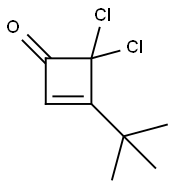 3-tert-butyl-4,4-dichlorocyclobut-2-enone 结构式