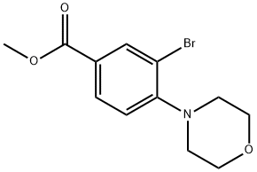 3-溴-4-(4-吗啉基)苯甲酸甲酯 结构式