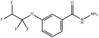 苯甲酰肼,3-(1,1,2,2-四氟乙氧基)- 结构式