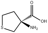 (S)-3-氨基四氢噻吩-3-羧酸 结构式