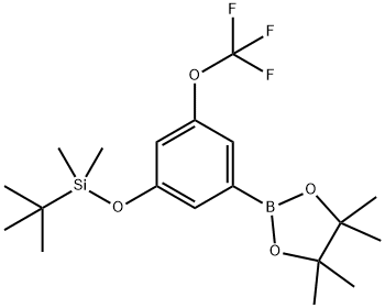 3-(T-BUTYLDIMETHYSILYLOXY)-5-TRIFLUOROMETHOXYPHENYLBORONIC ACID, PINACOL ESTER 结构式