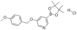 5-(4-甲氧基苄氧基)吡啶-3-硼酸,频哪酯,盐酸盐 结构式