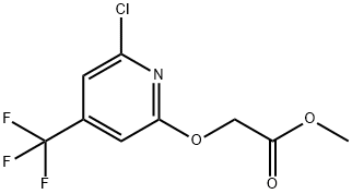 2-((6-氯-4-(三氟甲基)吡啶-2-基)氧基)乙酸甲酯 结构式