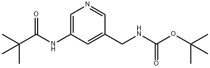 ((5-新戊酰胺吡啶-3-基)甲基)氨基甲酸叔丁酯 结构式