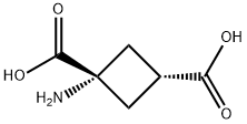 1-AMINOCYCLOBUTANE-CIS-1,3-DICARBOXYLIC ACID 结构式