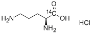 L-ORNITHINE-CARBOXY-14C HYDROCHLORIDE 结构式