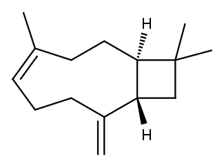 (-)-异丁香烯 结构式