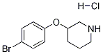 3-(4-溴苯氧基)哌啶 结构式