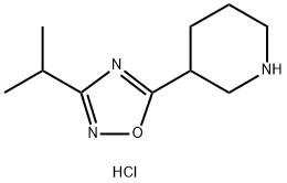 3-异丙基-5-(哌啶-3-基)-1,2,4-噁二唑盐酸盐 结构式